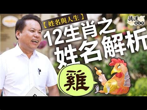 雞取名|生肖雞的吉利名字